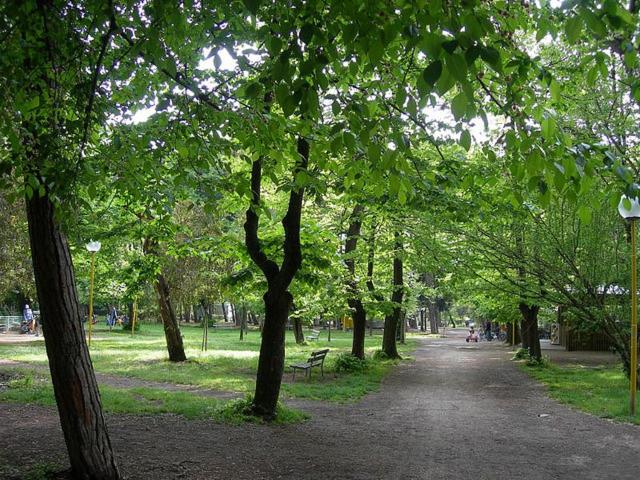 Villa Grazia - image 34