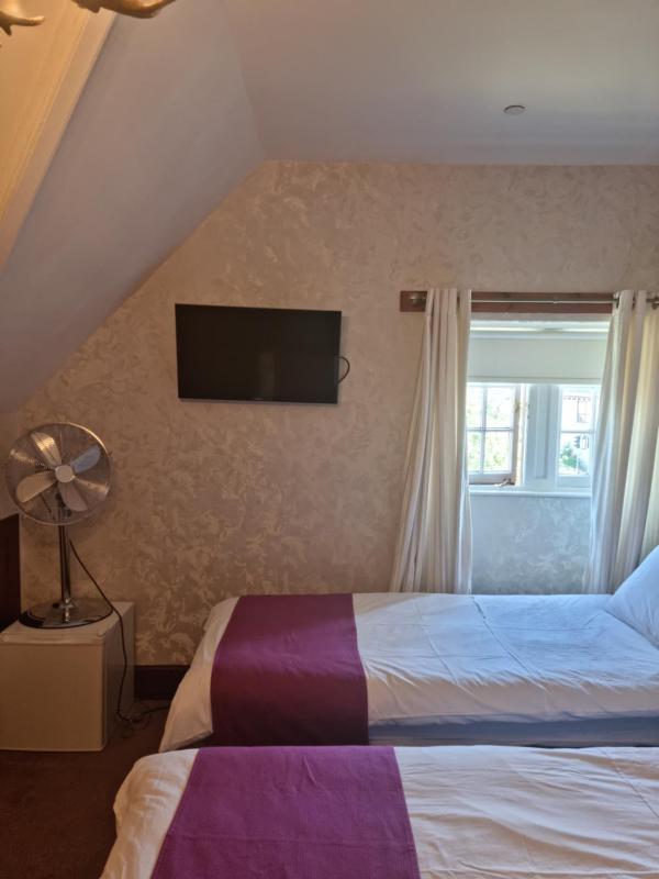 Twin Room image 2