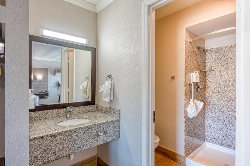Deluxe King Suite image 2