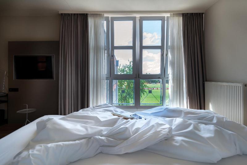Superior Plus Room image 1