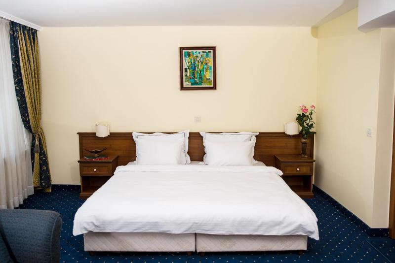 Double or Twin Room image 3