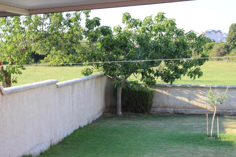 One-Bedroom Apartment with Terrace image 2