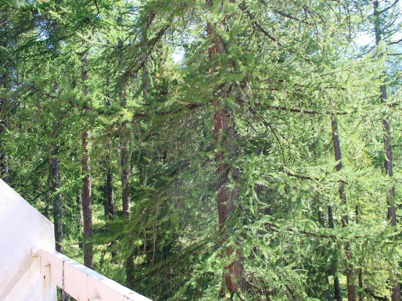 Apartment (4 Adults) image 3