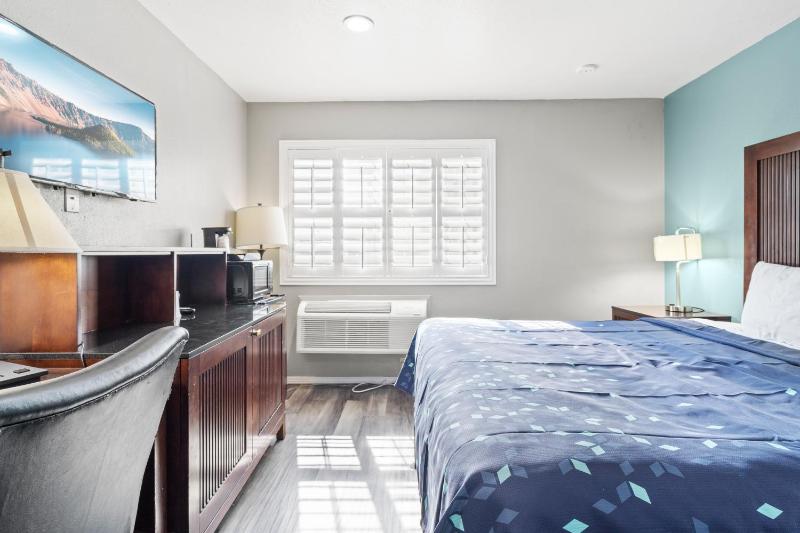 Deluxe King Room image 4