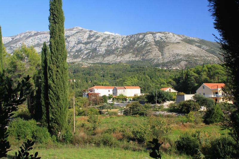 Luxury villa with a swimming pool Zastolje Dubrovnik - 14922 - image 11