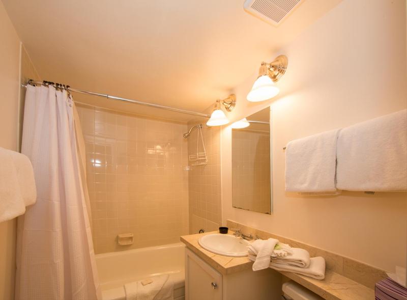 Three-Bedroom House image 4