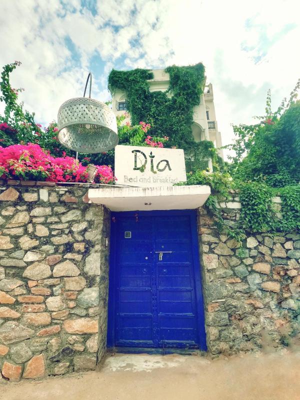 Dia Homestay - image 6