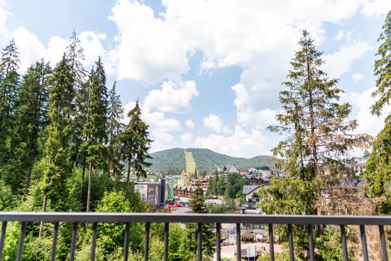 One-Bedroom Suite with Mountain View image 3