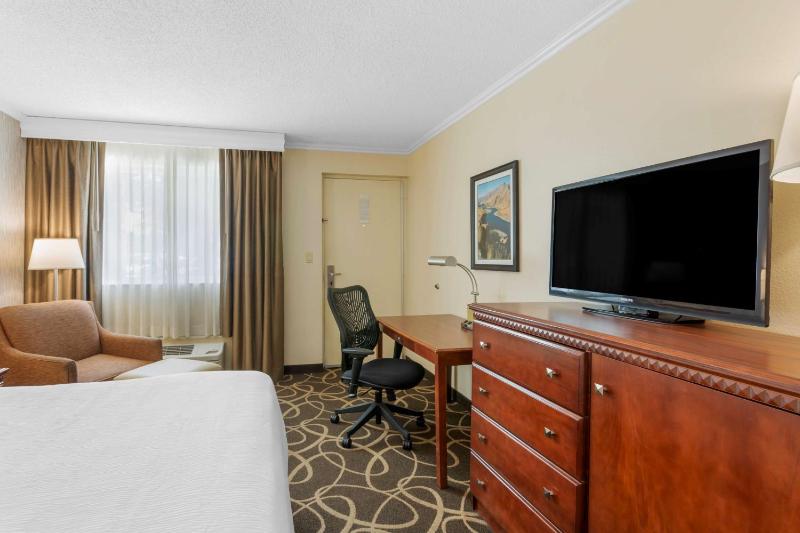 King Room image 3