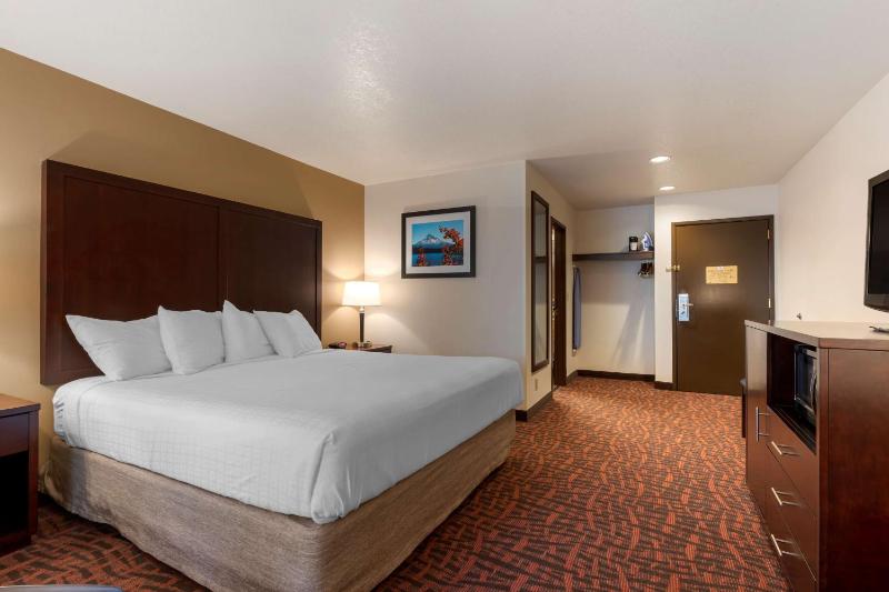 Best Western Pony Soldier Inn-Airport - image 11