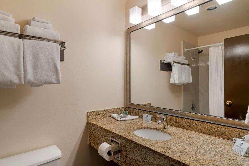 King Suite - Non-Smoking image 3