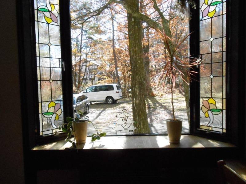 Pension Nugget Inn - image 10