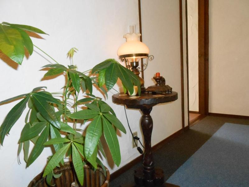 Pension Nugget Inn - image 9