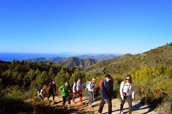 Estudio Platero - image 3