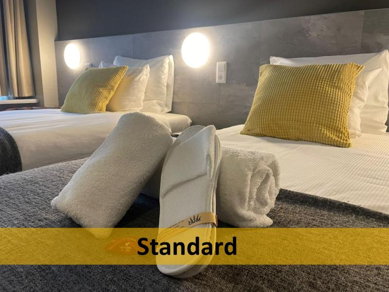 Standard Twin Room image 3