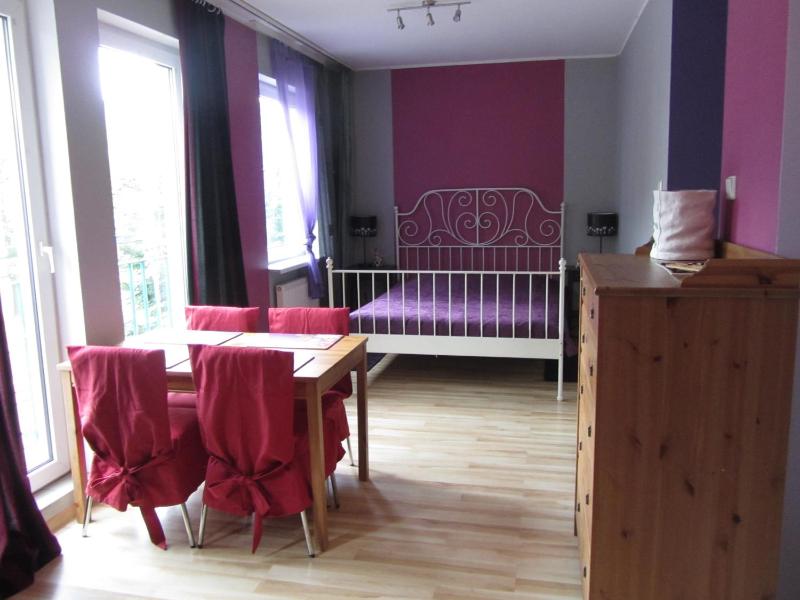 StudioSpanie Apartament Mango - image 7