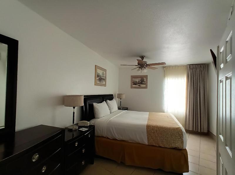 Deluxe King Studio Suite - Non-Smoking