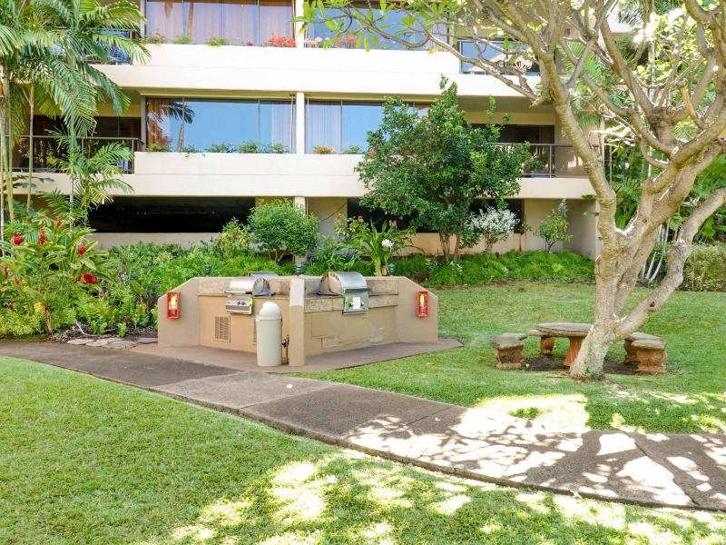 Sands Of Kahana 315 2Bd 2Ba Oceanfront condo - image 25