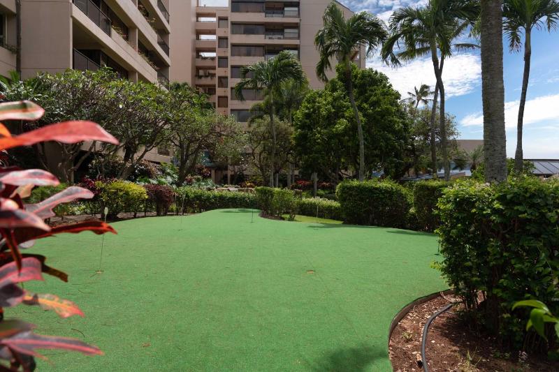 Sands Of Kahana 315 2Bd 2Ba Oceanfront condo - image 29