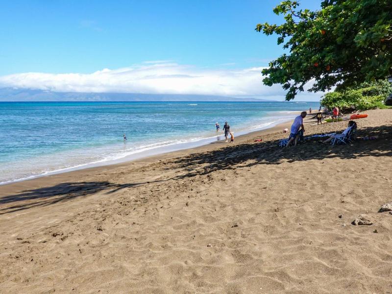 Sands Of Kahana 315 2Bd 2Ba Oceanfront condo - image 33
