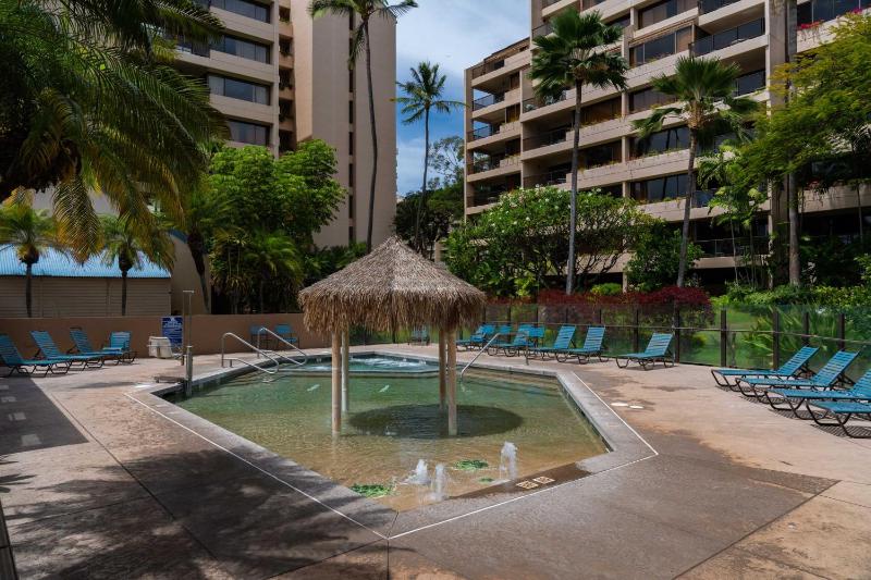 Sands Of Kahana 315 2Bd 2Ba Oceanfront condo - image 47