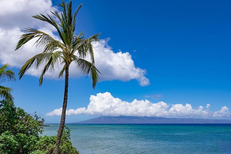 Sands Of Kahana 315 2Bd 2Ba Oceanfront condo - image 48
