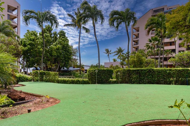 Sands Of Kahana 315 2Bd 2Ba Oceanfront condo - image 4
