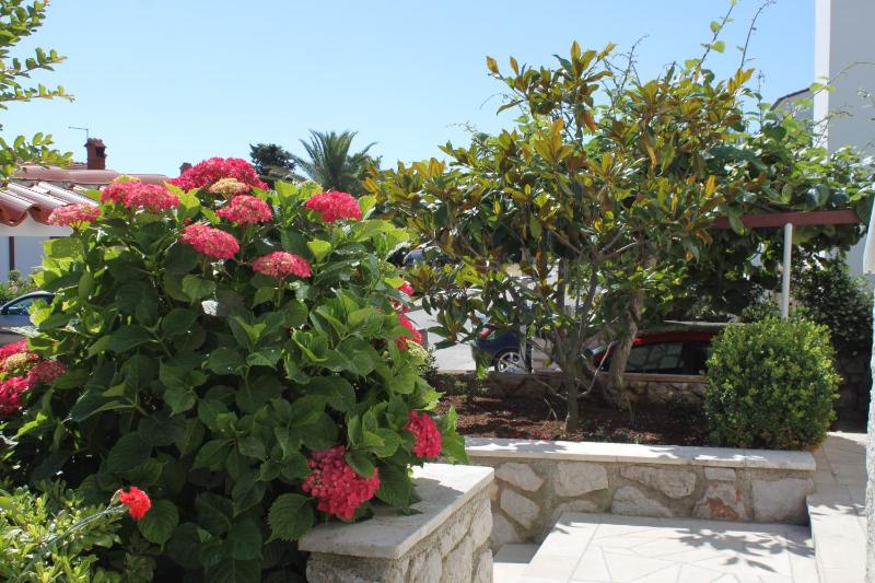 Apartments with a parking space Mali Losinj (Losinj) - 8024 - image 4