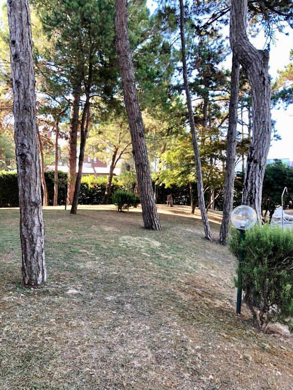 TARTANA - image 17