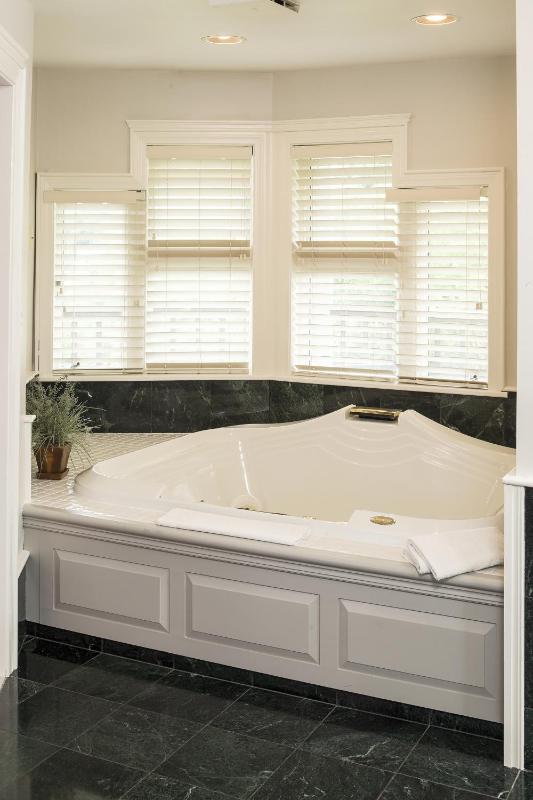 Deluxe Suite image 4