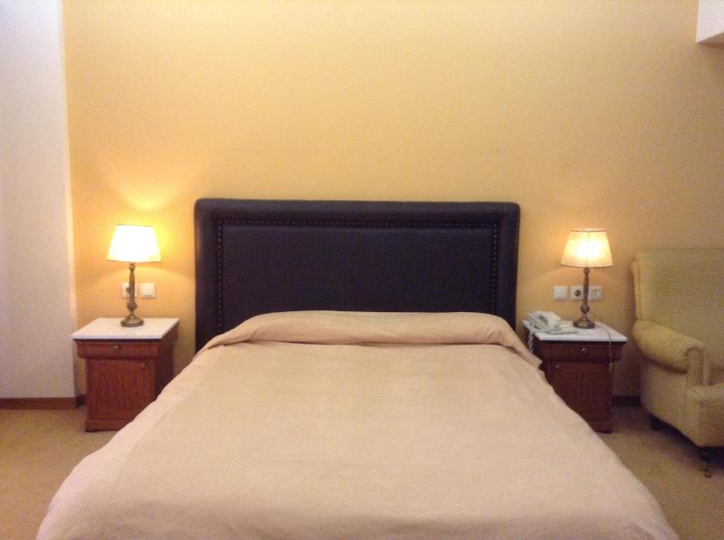 Park Hotel - image 48