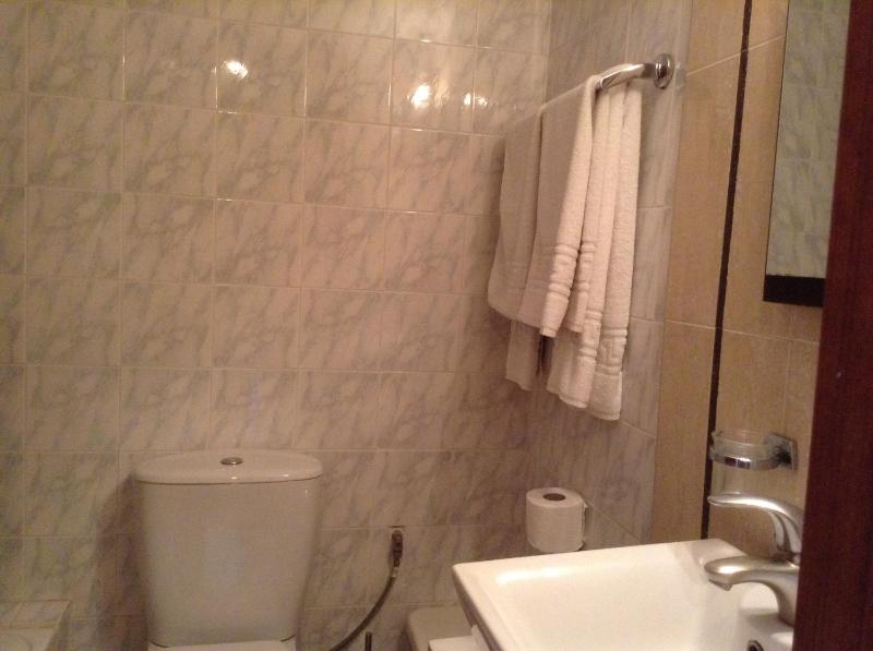 Park Hotel - image 43