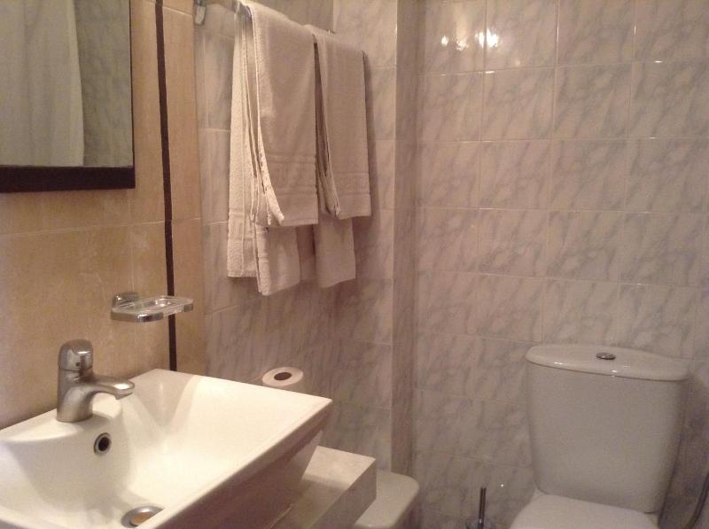 Park Hotel - image 49
