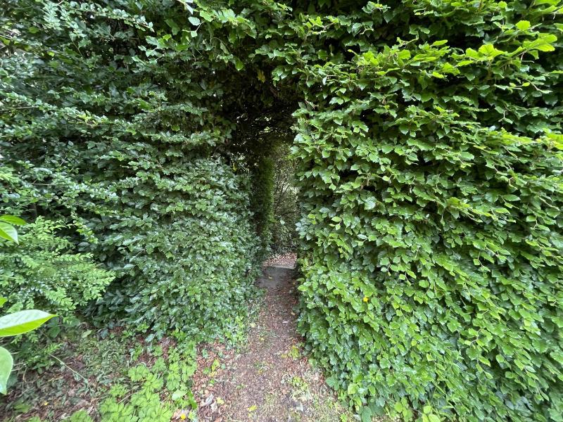 Shelley Cottage - image 36