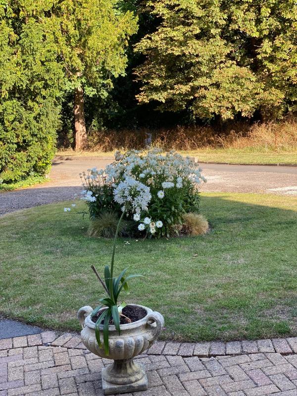 Coundon Lodge Coventry - image 31