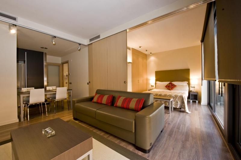 One-Bedroom Apartment image 4