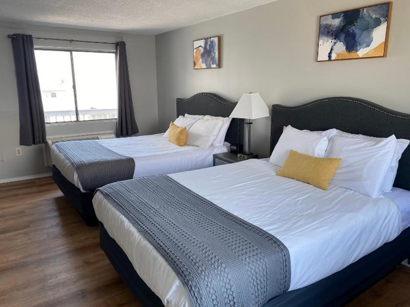 Double or Twin Room image 4