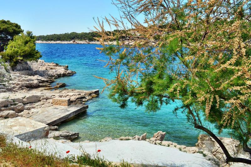 Apartments by the sea Bilo Primosten - 14601 - image 18
