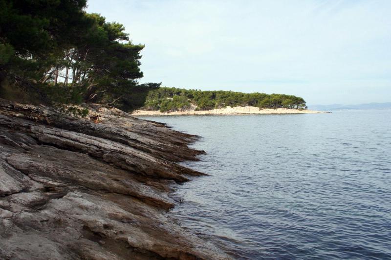 Apartments by the sea Splitska Brac - 2865 - image 4
