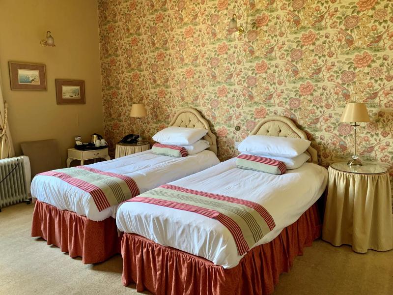 Classic Twin Room image 1