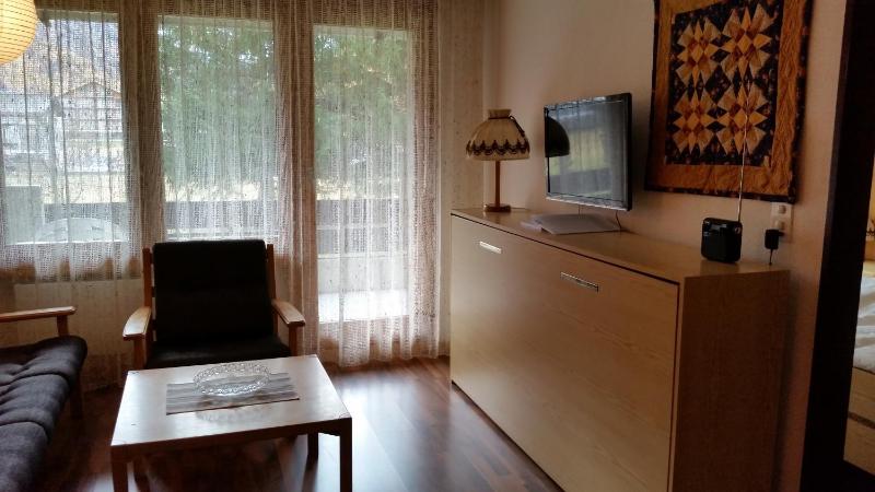 One-Bedroom Apartment with Balcony and Mountain View   image 3