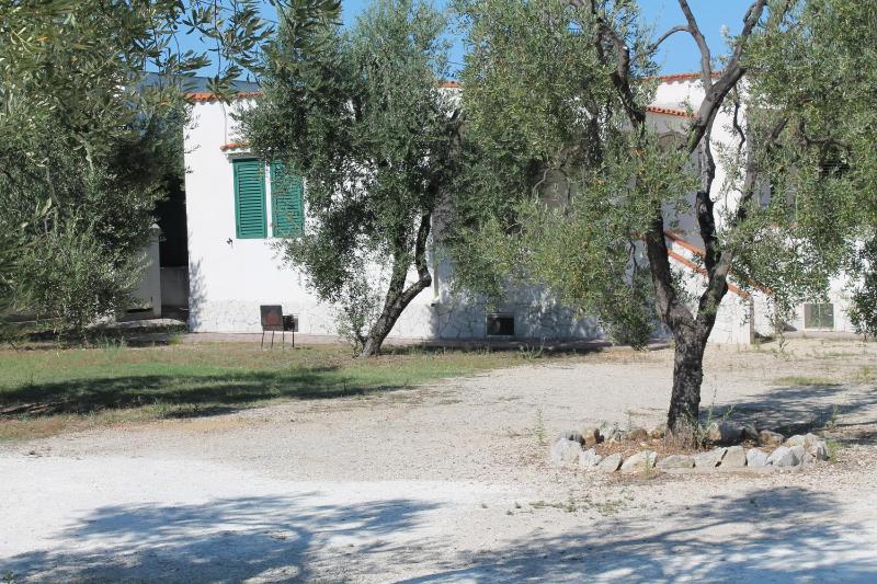 One-Bedroom House image 3