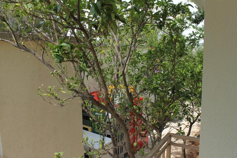 Three-Bedroom Apartment with Terrace and Sea View image 3