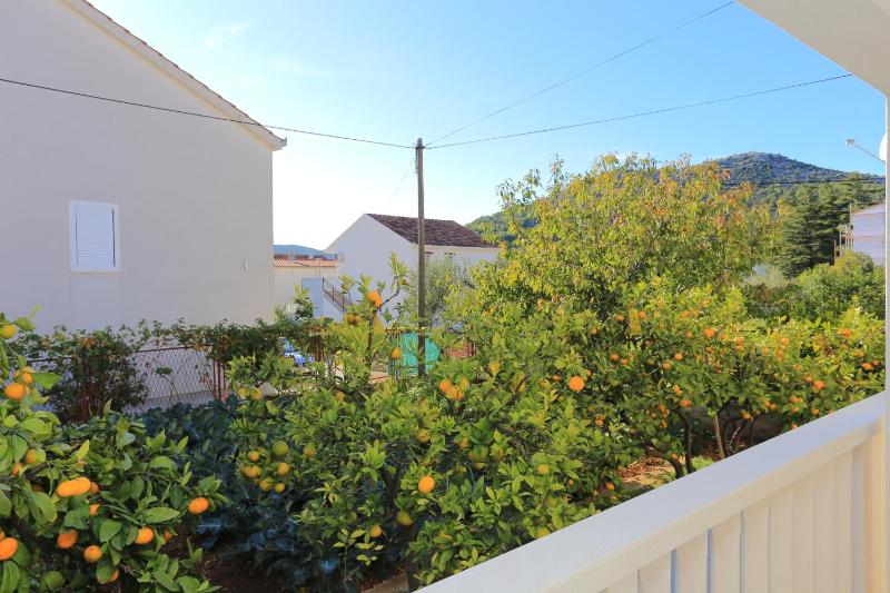 Two-Bedroom Apartment with Terrace and Sea View image 3