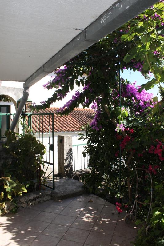 Apartments by the sea Podgora Makarska - 6788 - image 4