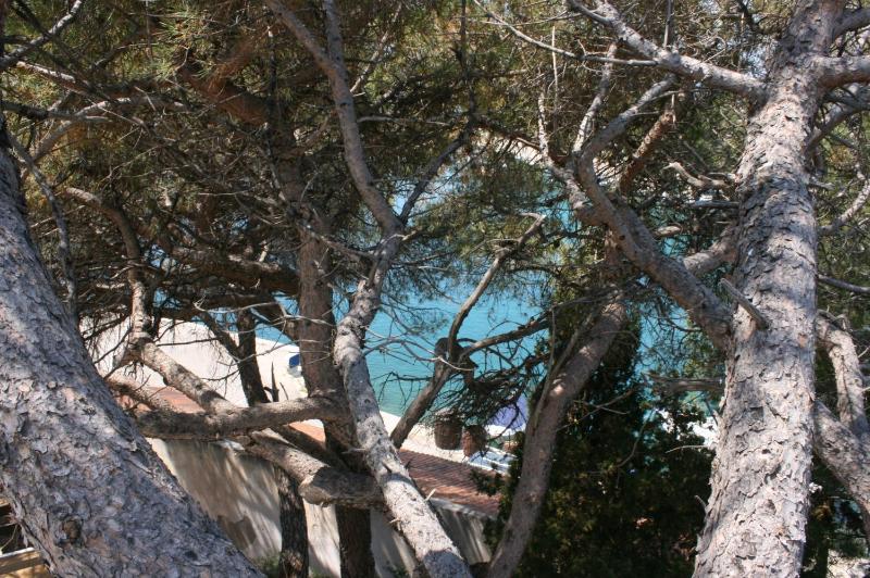 One-Bedroom Apartment with Terrace and Sea View image 3