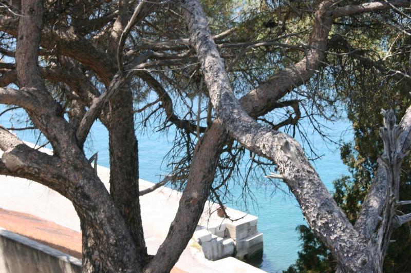 One-Bedroom Apartment with Terrace and Sea View image 3