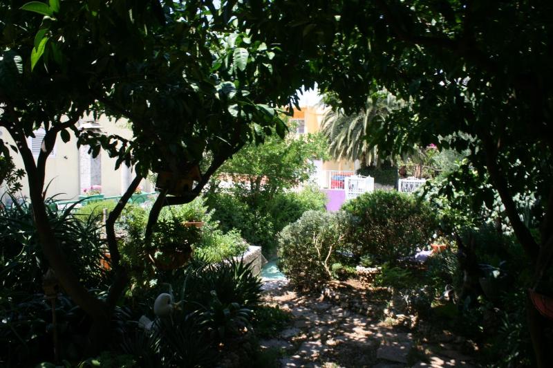 Apartments with parking space Makarska - 6636 - image 6