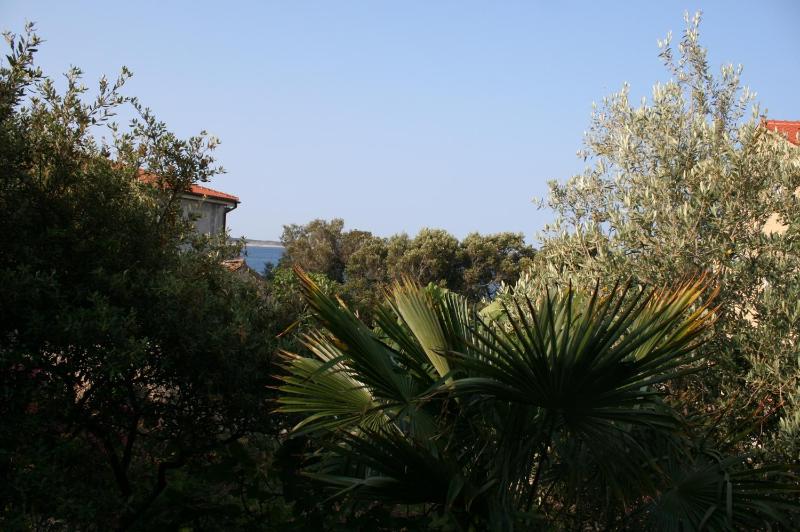 Apartments by the sea Mandre Pag - 6545 - image 24