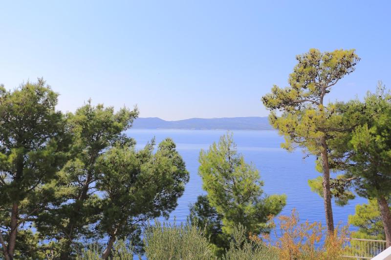 Apartments by the sea Brela Makarska - 6688 - image 8